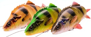 0001_Savage_Gear_4D_Line_Thru_Perch_Slow_Sinking_17_cm_[Zinkend]_[Savage_Gear].jpg